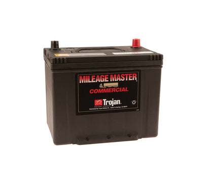 Tennant 10137, 12V Wet Battery