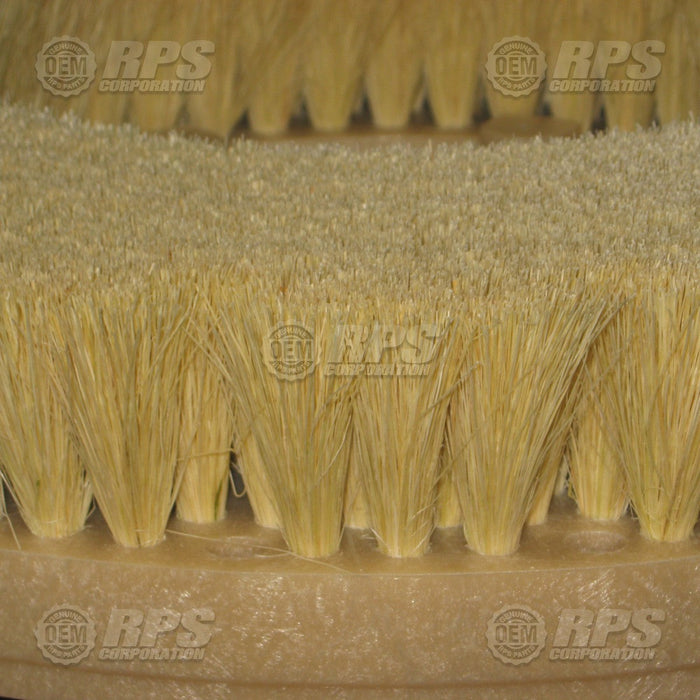 FactoryCat/Tomcat 15-421T, Brush,Tampico,15"