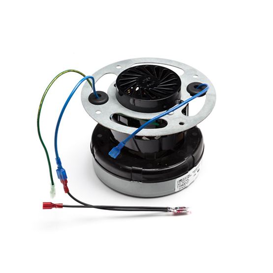 Proteam Motor Assembly for Alpine