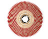 Universal Pad Driver, Floor Buffer, 16",  NP9200 Clutch Plate, 1.25" Riser, Bristle System, PB16 image 1