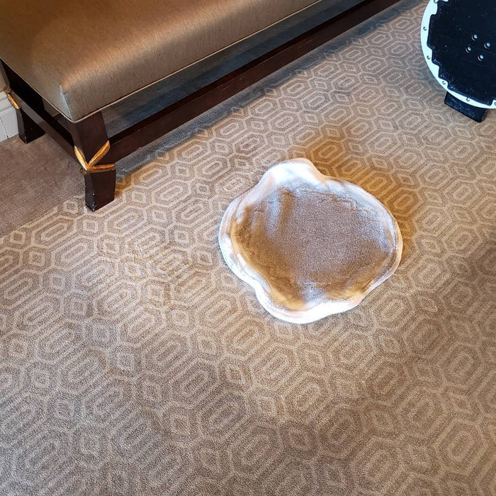 1.291-254.0, Karcher BDS 43/Orbital C, Floor Buffer, Orbital, 3 Year Warranty