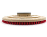 Universal Pad Driver, Floor Buffer, 20",  NP9200 Clutch Plate, 1.25" Riser, Bristle System, 220DP image 3
