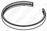 Nilfisk Advance VF30004 image 2