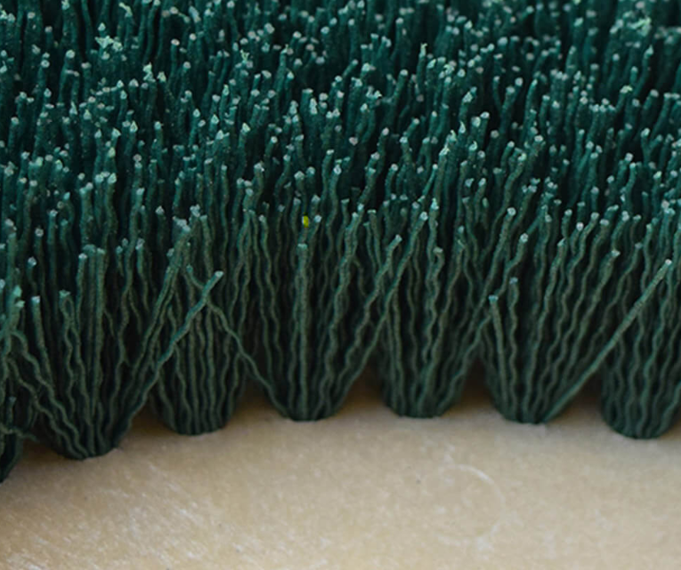 Malish Mal-Grit Scrub™ Rotary Grit Brushes, Includes Pre-Installed Riser and NP-9200 Clutch Plate, 120 Grit