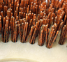Malish Mal-Grit Xtra™ Rotary Grit Brushes, Includes Pre-Installed Riser and NP-9200 Clutch Plate, 46 Grit image 4