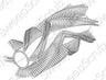 Nilfisk Advance 1465215000 Main Broom image 2