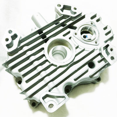 W13029 | Onyx Crankcase Cover