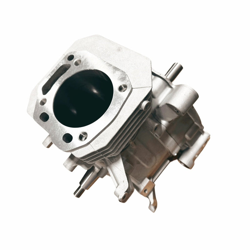 W13774 | Onyx Crankcase Assy