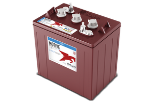 56206079 | Nilfisk Advance | Battery | 6V | 242AH | Lead Acid