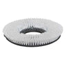 17" Floor Scrubbing Brush for the Tornado® 'BD 17/6' Auto Scrubber image 1