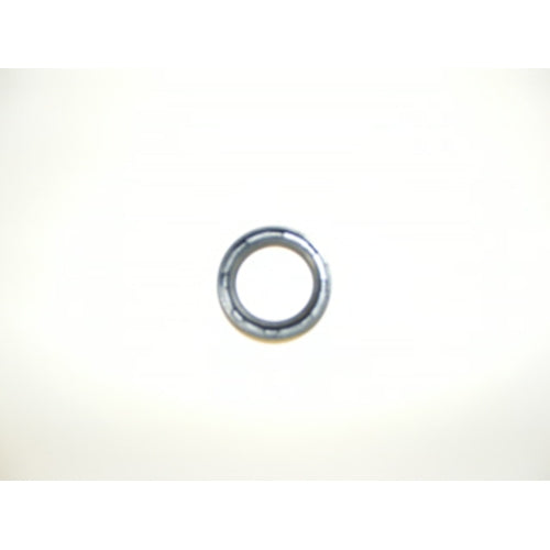 Karcher Windsor 86229170