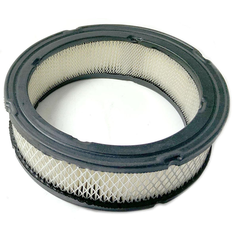 Propane Air Filter, Fits Briggs & Stratton (Various Engines)