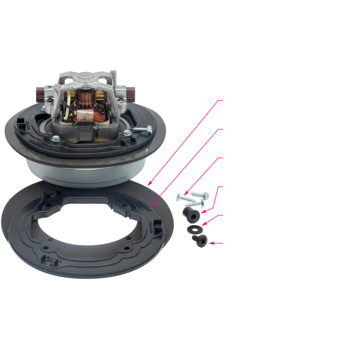 Motor (XLT)