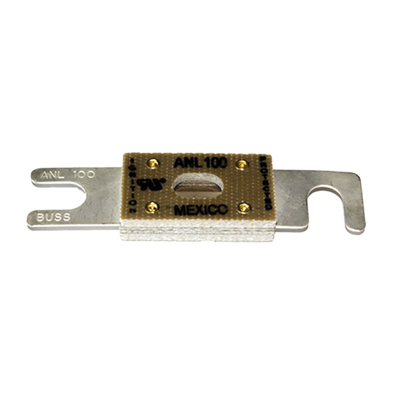Fuse 100 Amp