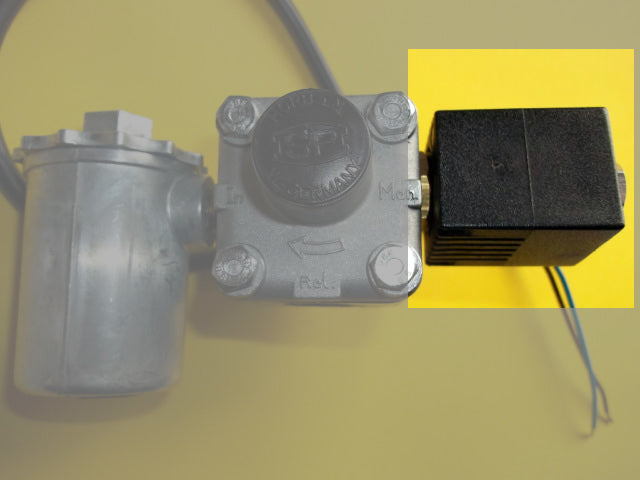 Karcher Windsor 64723890